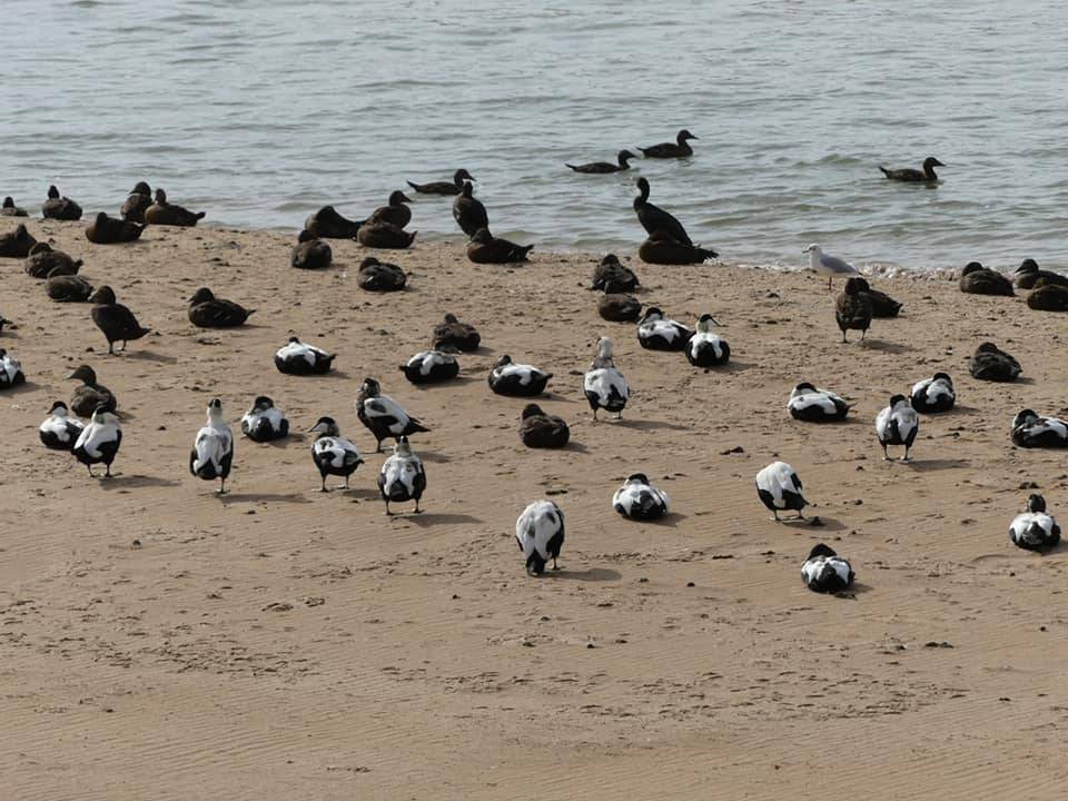 Photo of Others in Newburgh