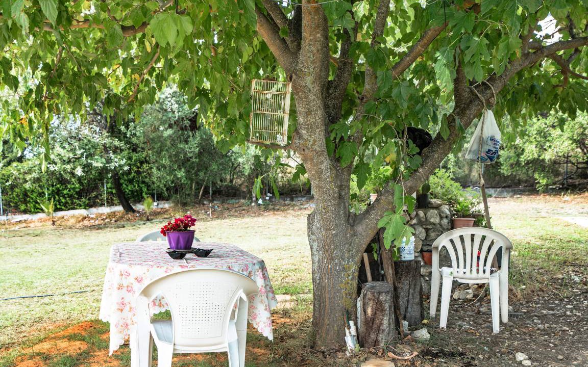 Photo of Others in Kolaitis