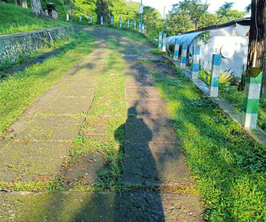 Photo of Others in Tretes