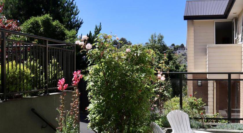 Photo of Others in Dunedin