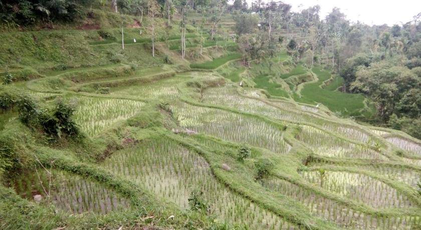 Photo of Others in Tetebatu