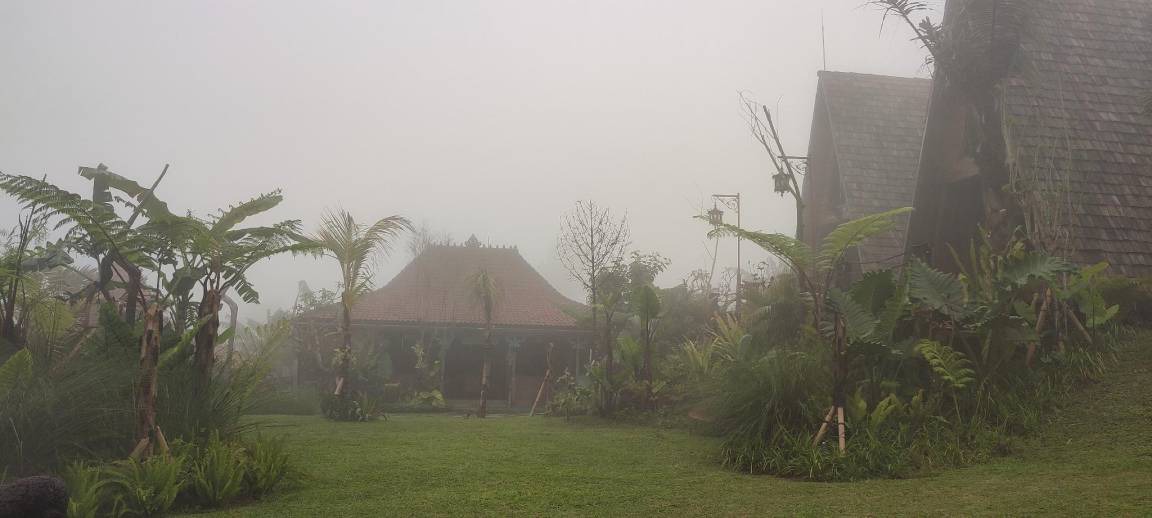 Photo of Others in Wanagiri