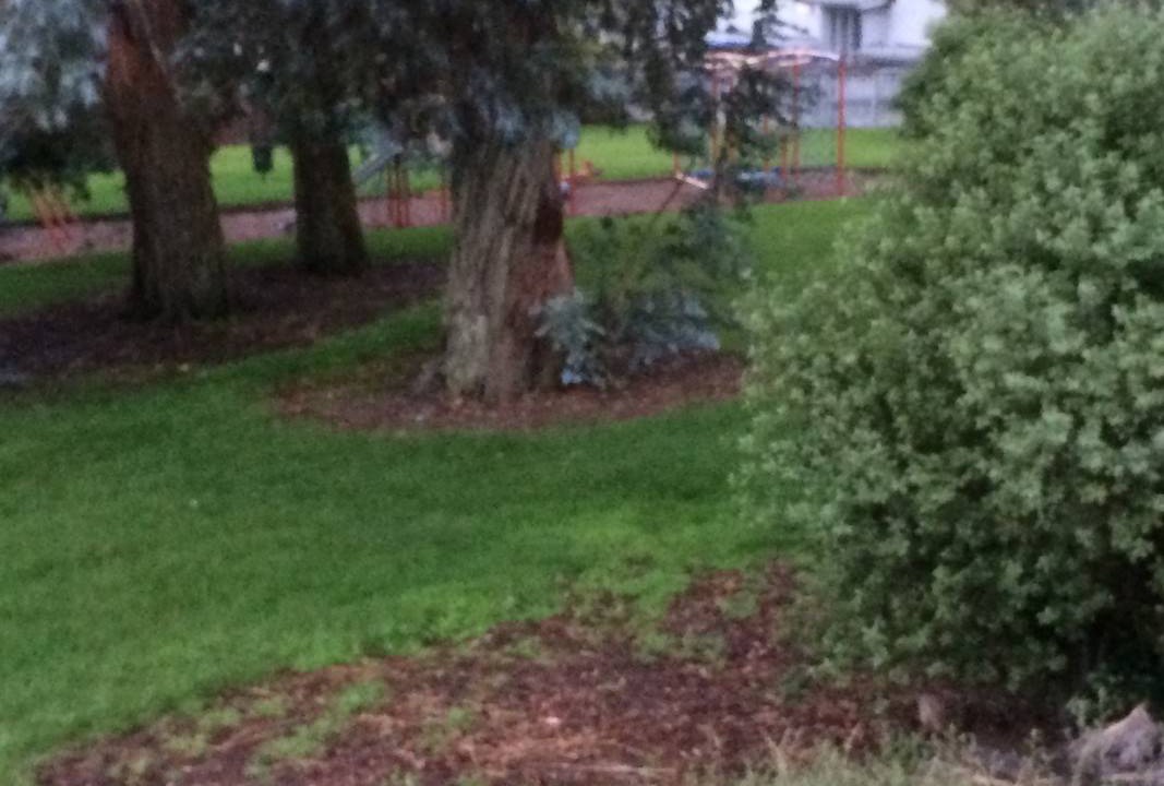 Photo of Others in Pakuranga Heights