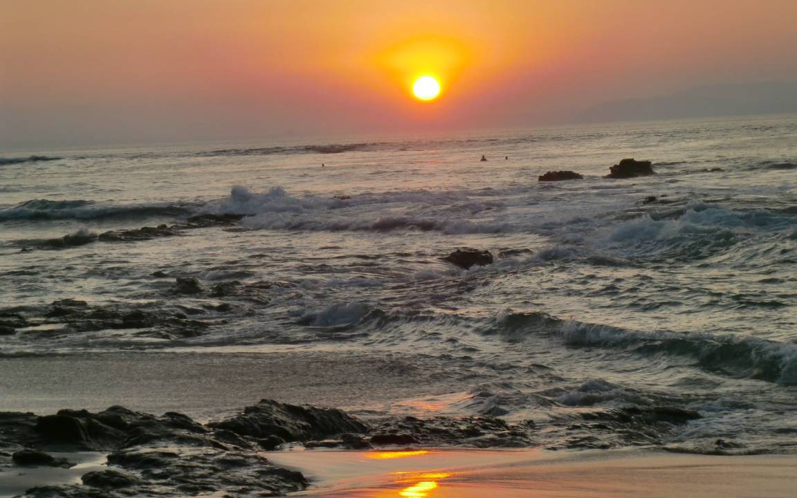 Photo of Others in Punta Leona