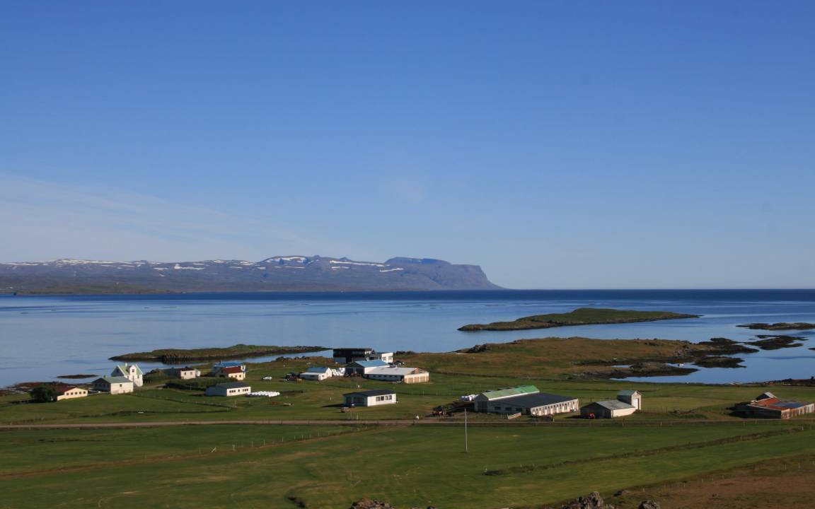 Photo of Others in Westfjords