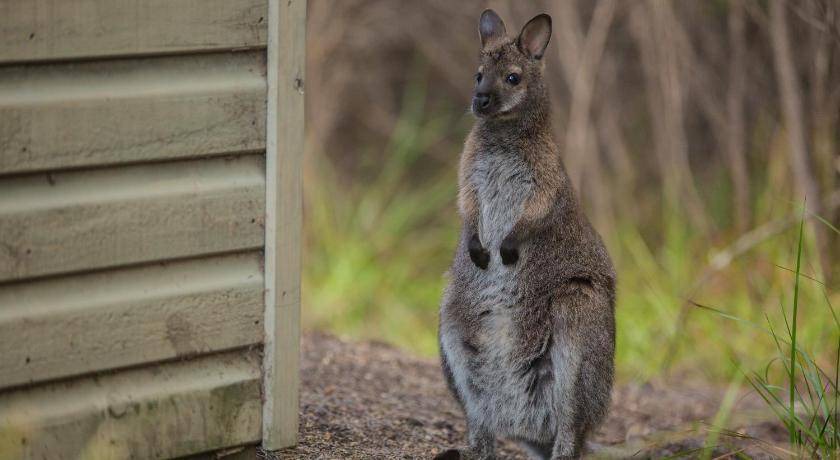 Photo of Others in Freycinet