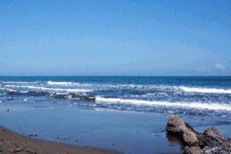 Photo of Others in Cahuita