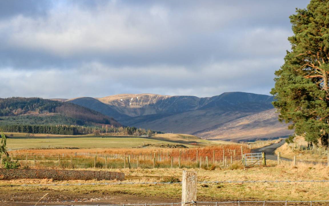 Photo of Others in Kirriemuir