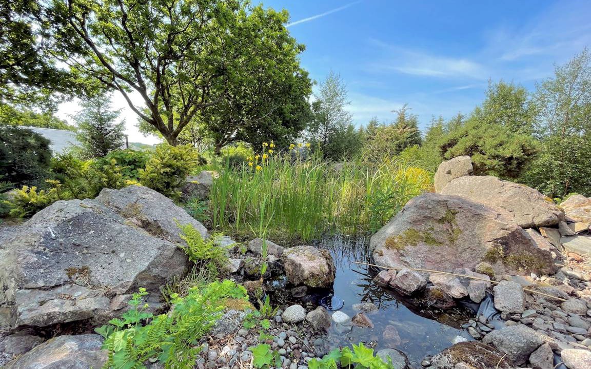 Photo of Others in Rockcliffe