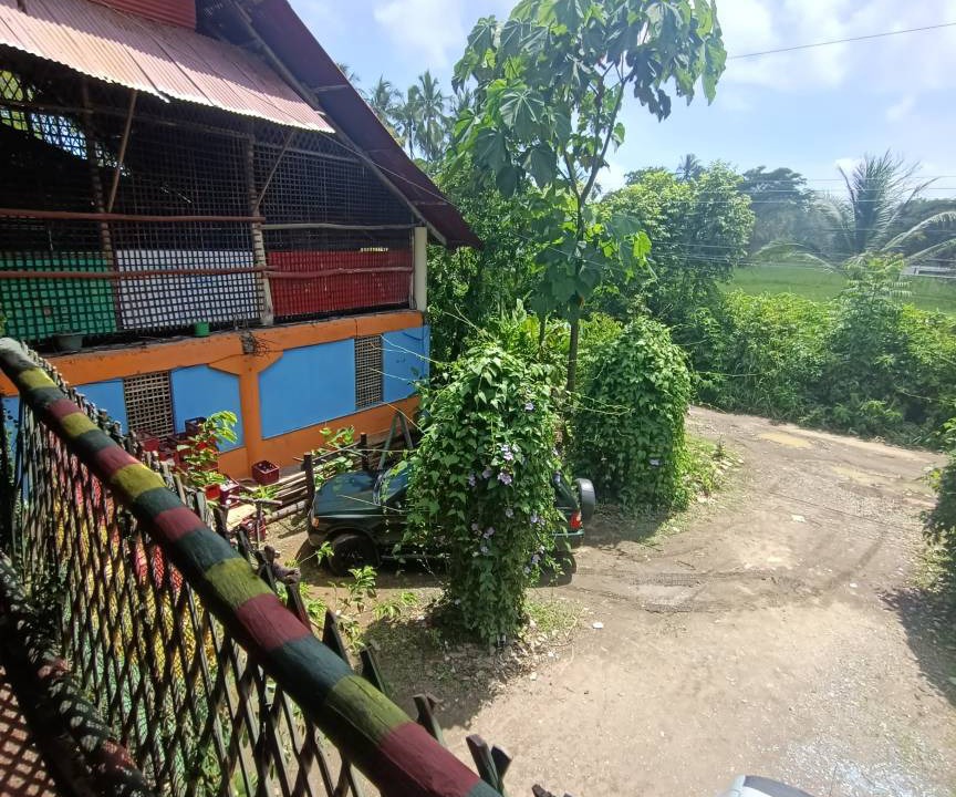 Photo of Others in Dominical