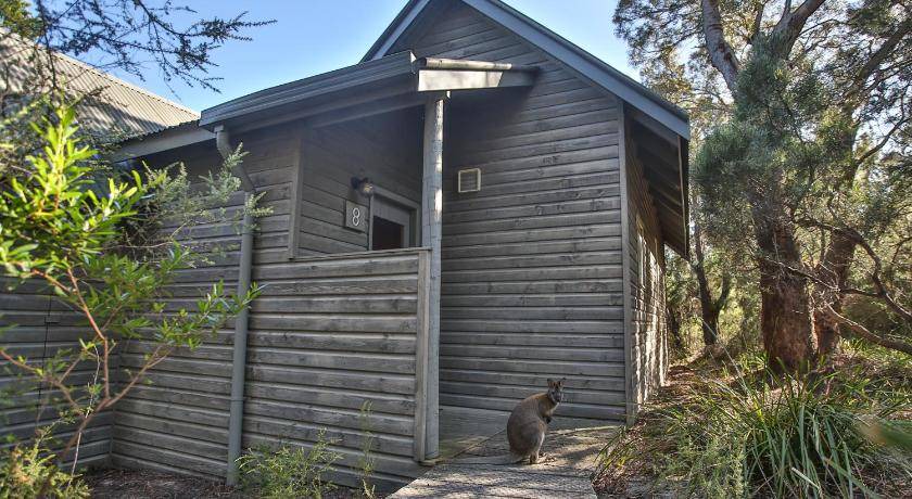 Photo of Others in Freycinet