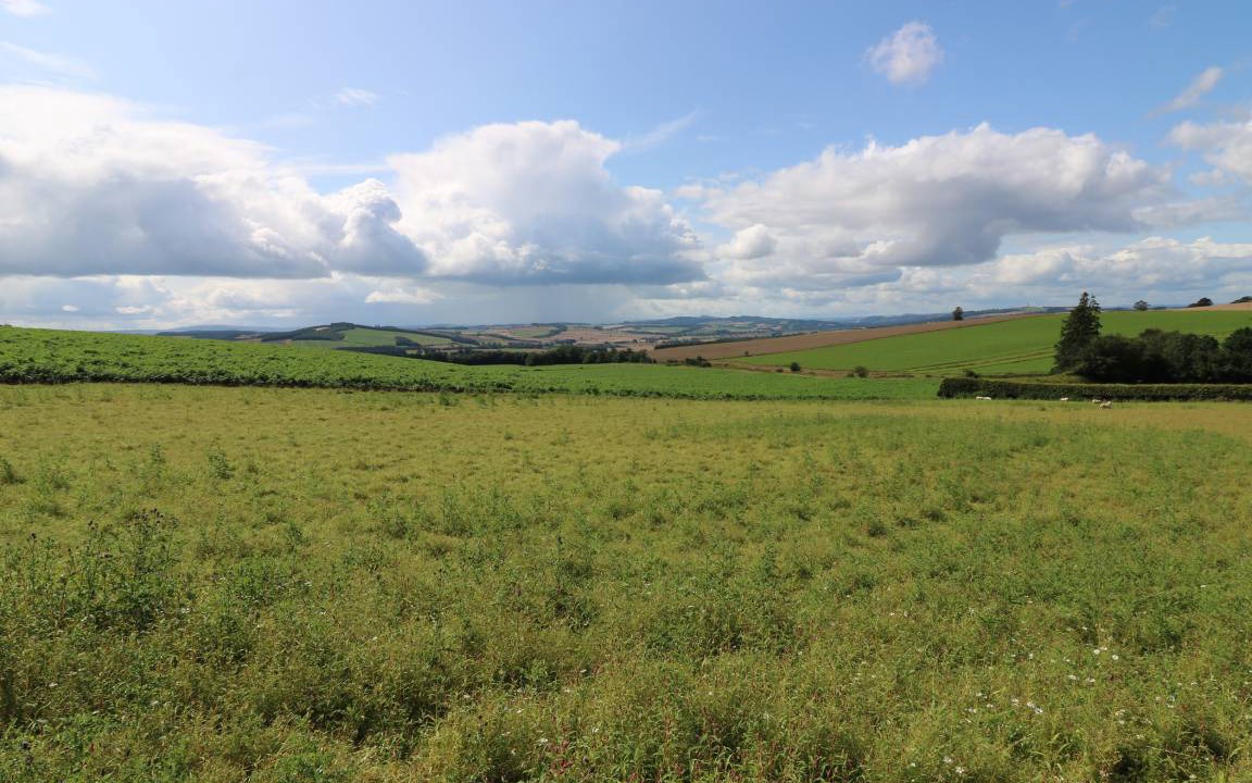 Photo of Others in Kelso