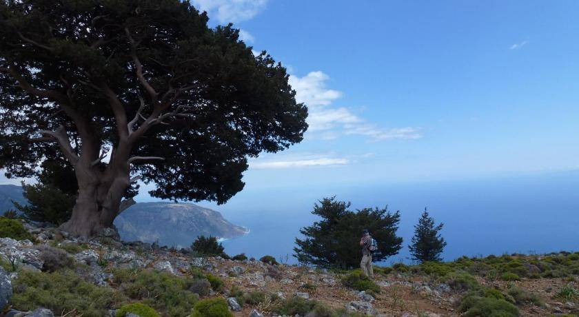 Photo of Others in Agia Roumeli