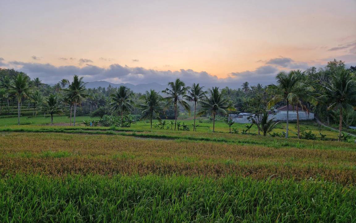 Photo of Others in Banjarasri