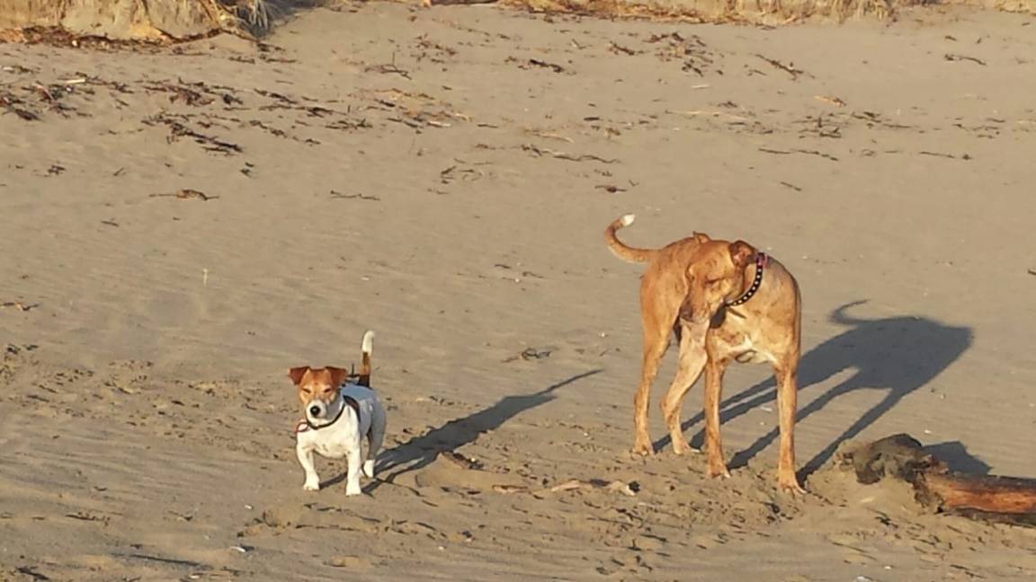 Photo of Others in Cooks Beach