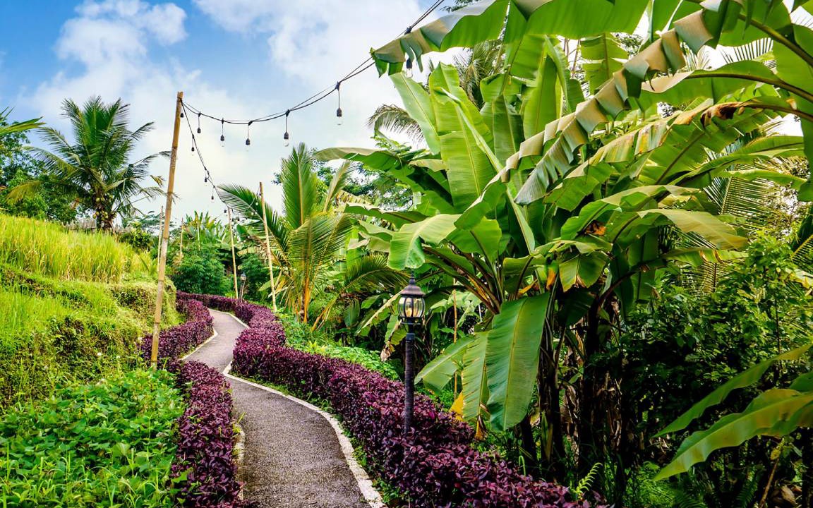 Photo of Outdoor in Tampaksiring