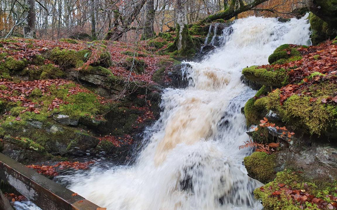 Photo of Others in Aberfeldy