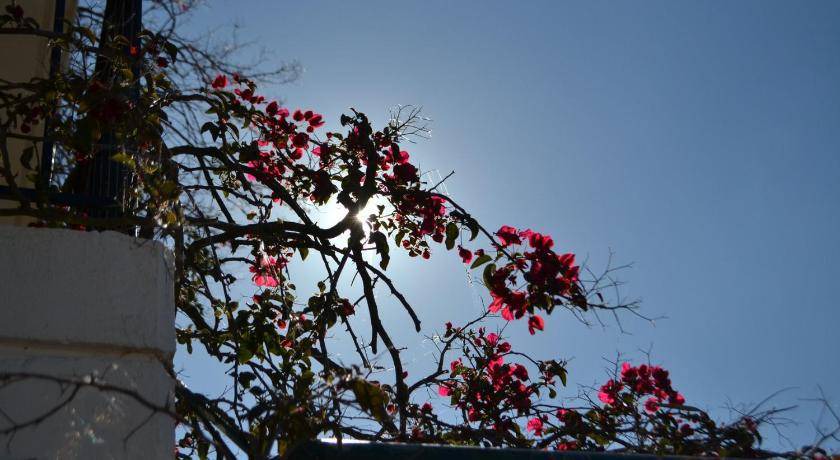 Photo of Others in Eleios-Pronnoi