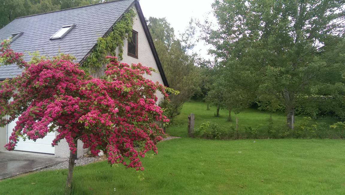 Photo of Others in Newtonmore