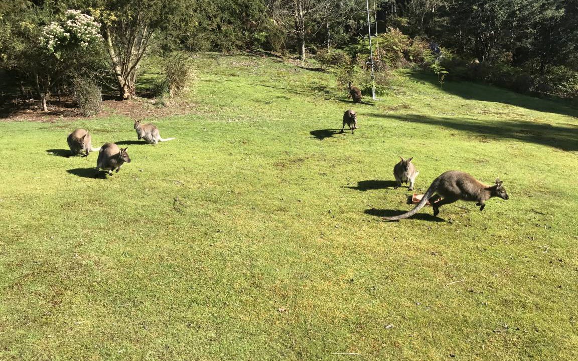 Photo of Others in Glenfern