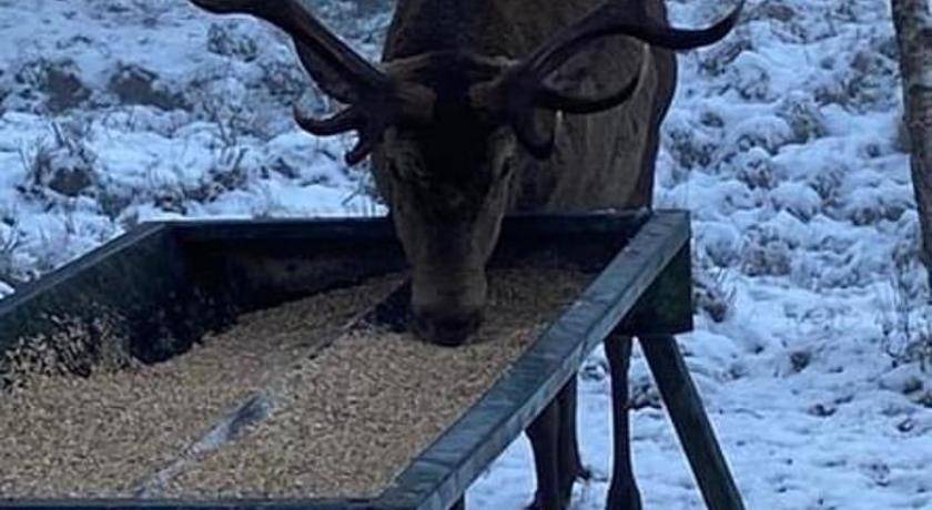 Photo of Others in Spean Bridge