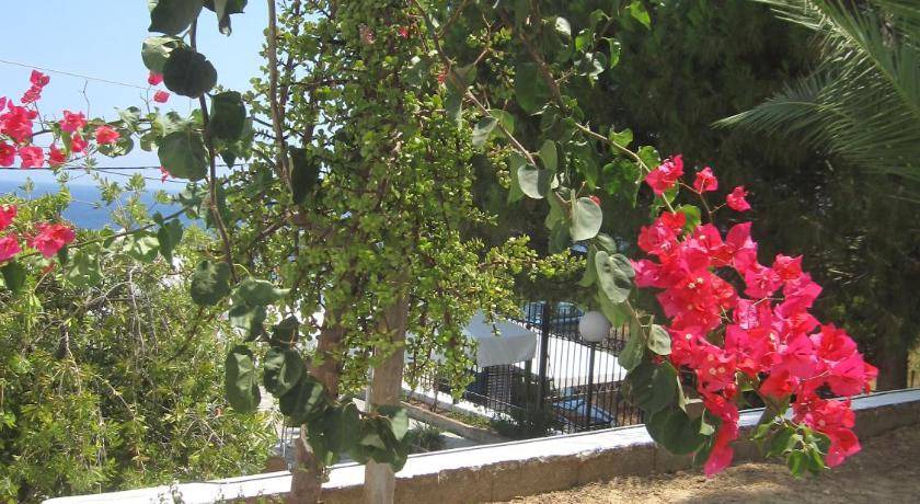Photo of Others in Poros