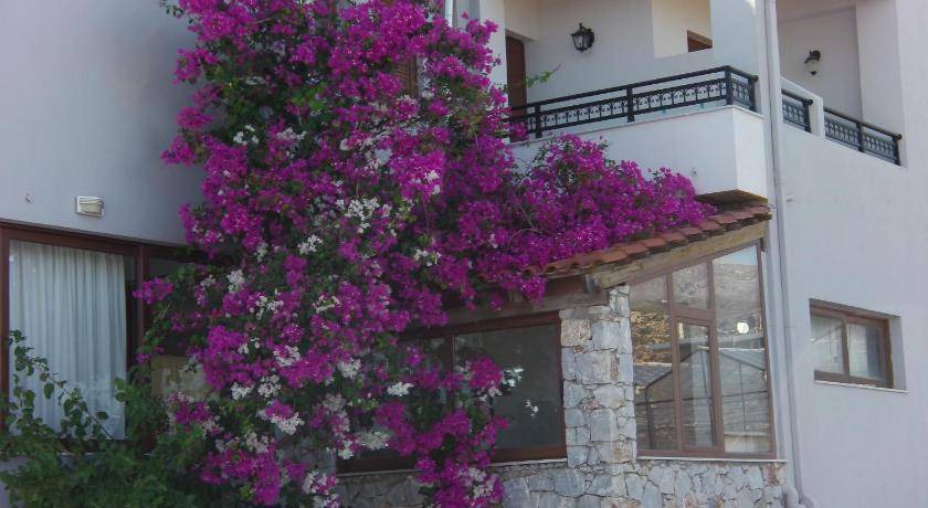 Photo of Others in Gialos