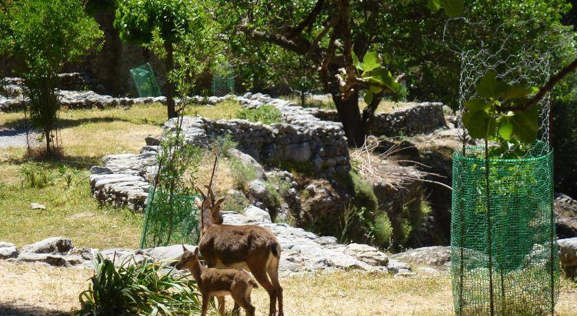 Photo of Others in Agia Roumeli