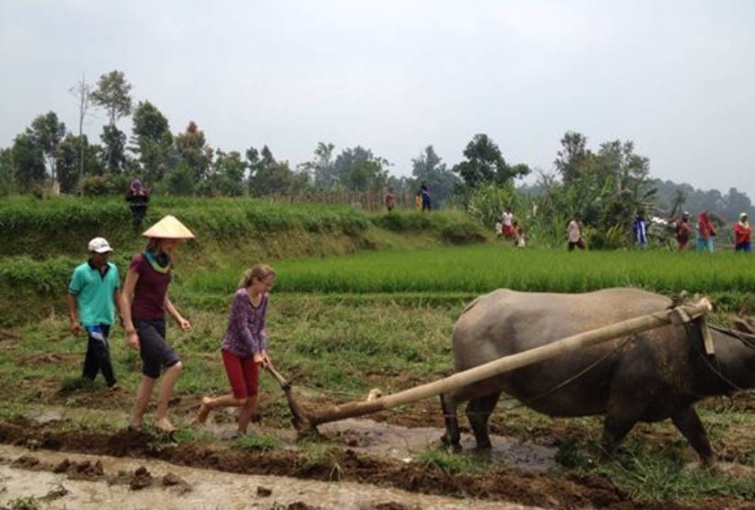 Photo of Others in Bukittinggi