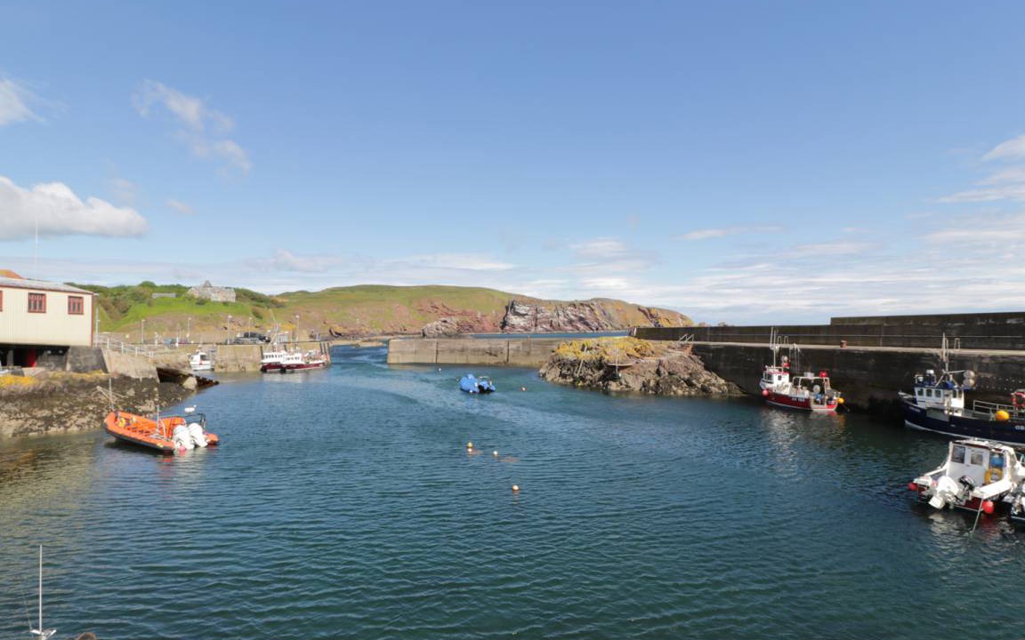 Photo of Others in St Abbs