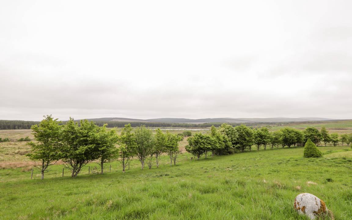 Photo of Others in Lairg