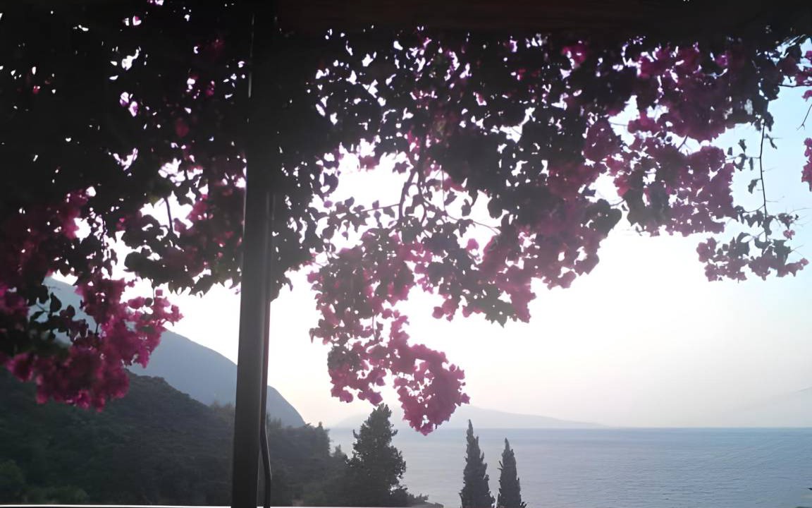 Photo of Others in Eleios-Pronnoi