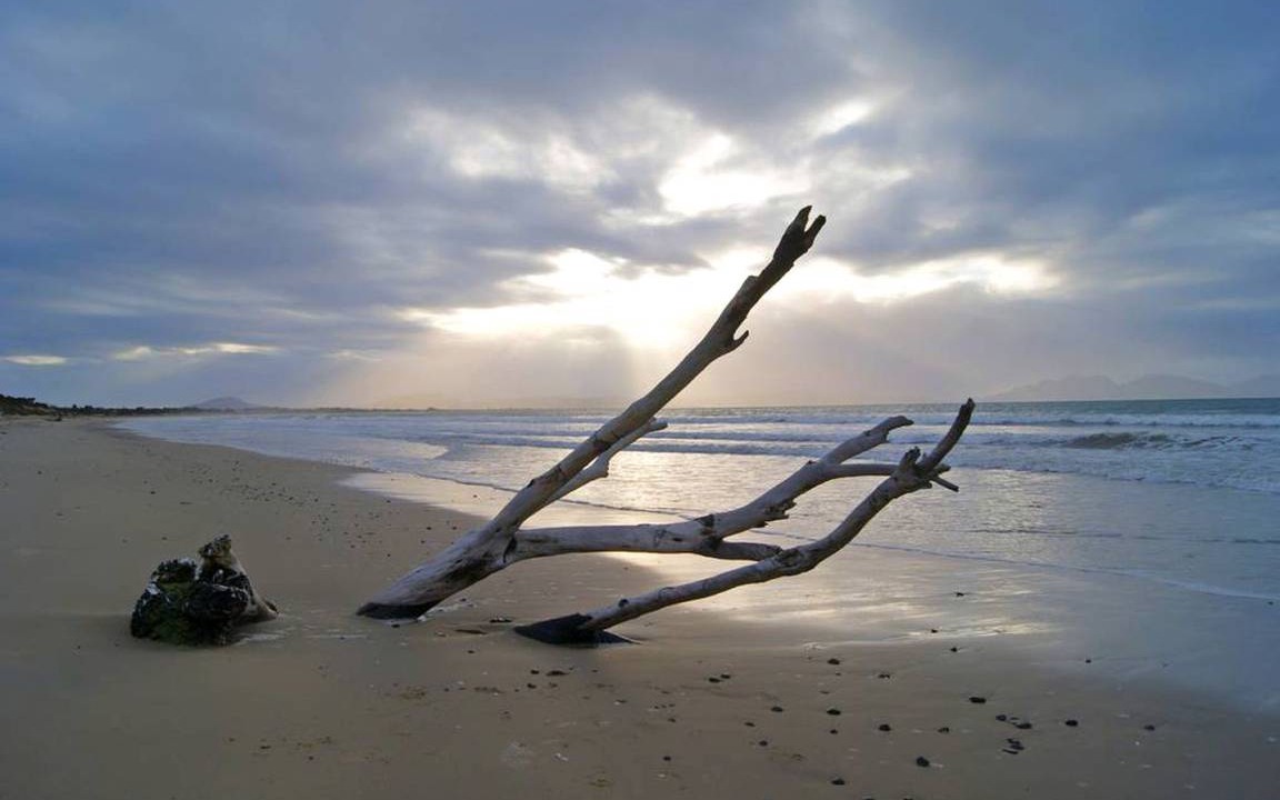 Photo of Human In Picture in Dolphin Sands