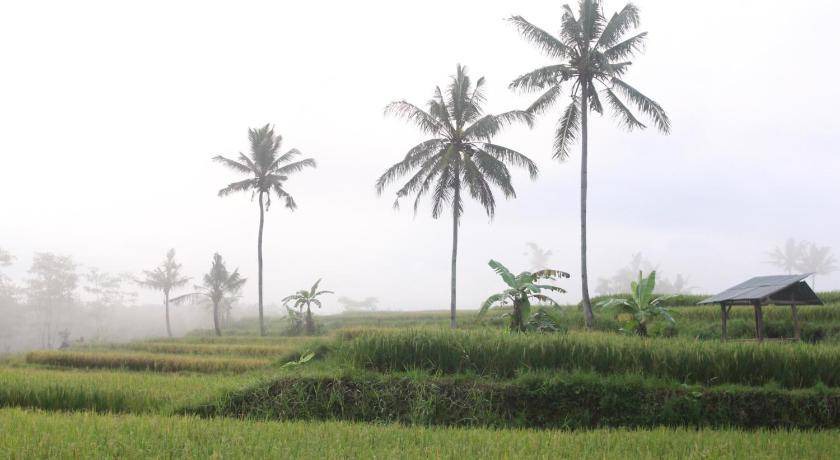 Photo of Others in Kayangan