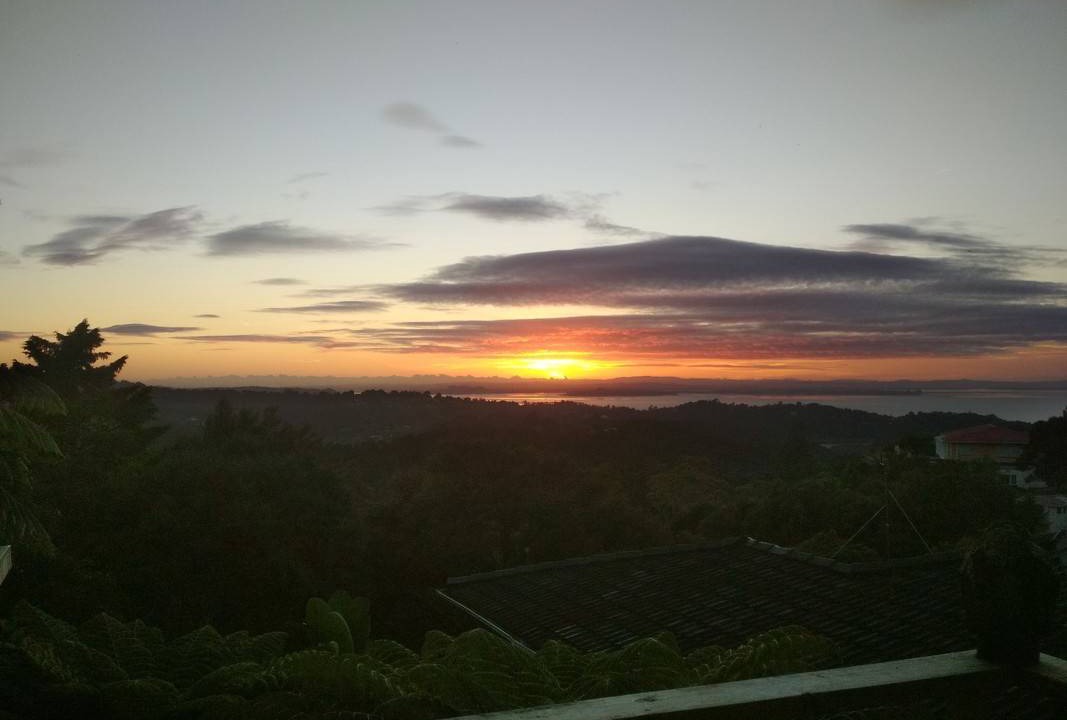 Photo of Others in Titirangi
