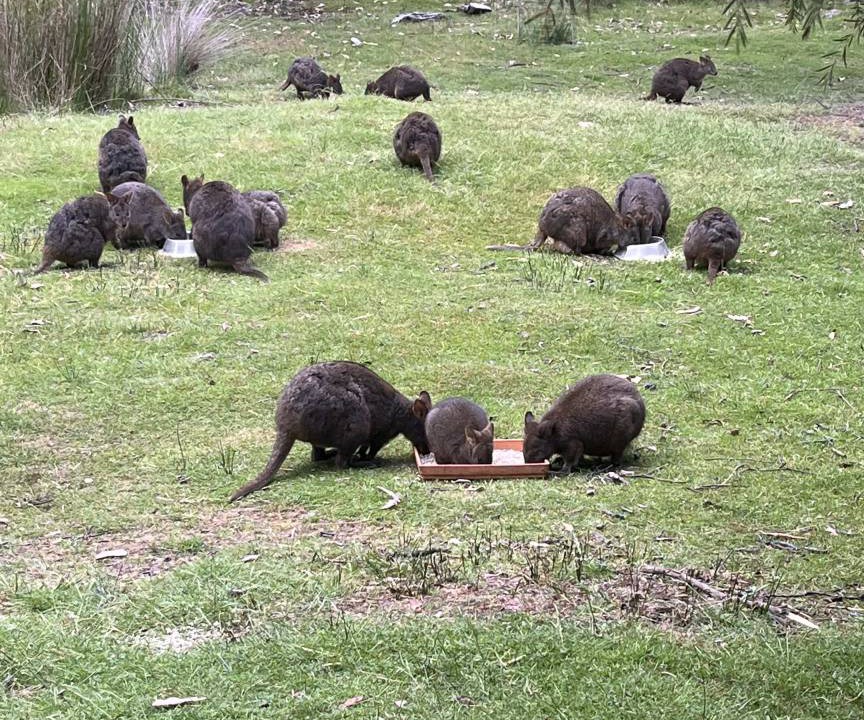 Photo of Others in Glenfern