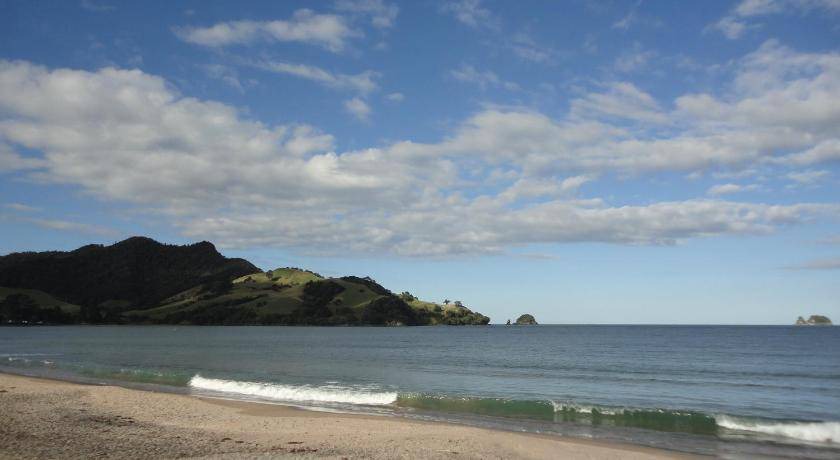 Photo of Others in Whitianga