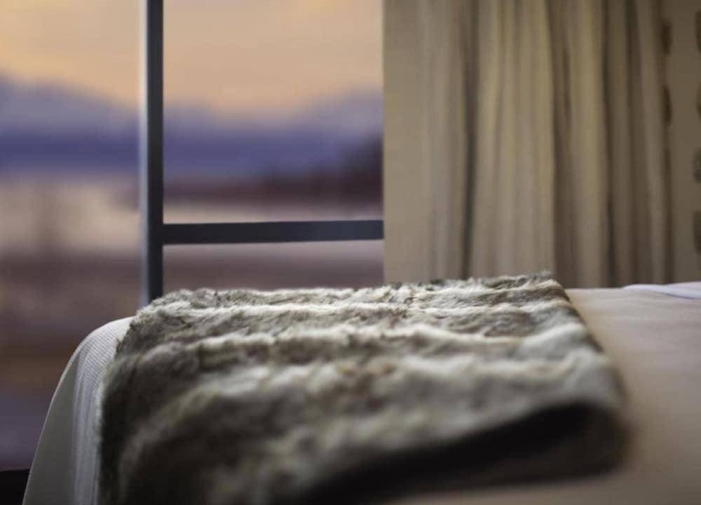 Photo of Others in Lake Tekapo