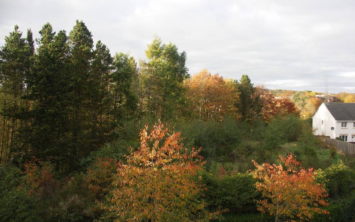 Photo of Others in Galashiels