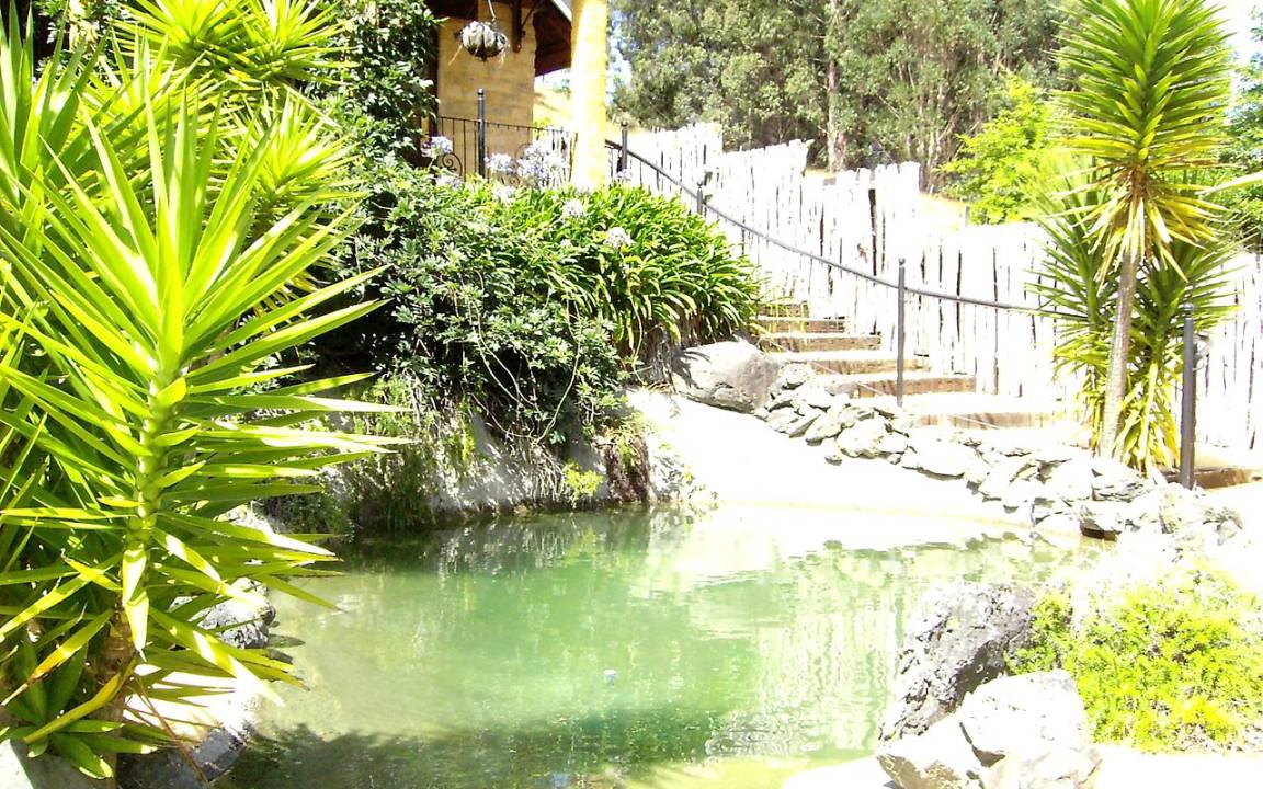Photo of Others in Upper Moutere