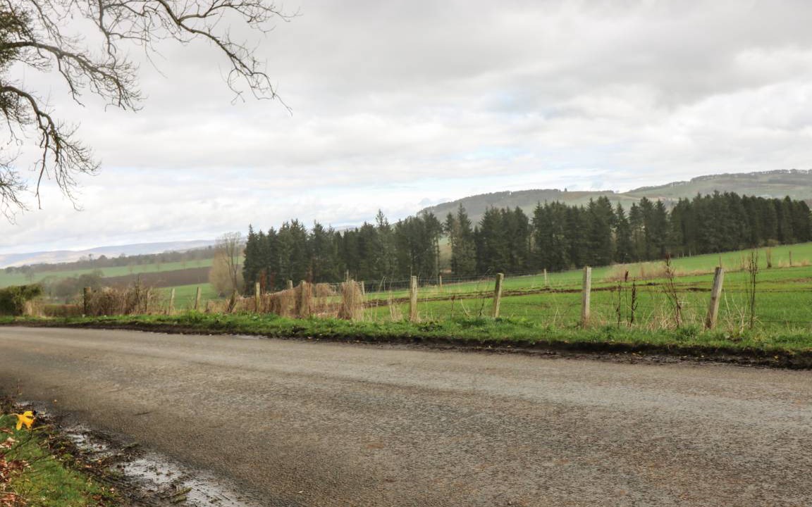 Photo of Others in Forfar