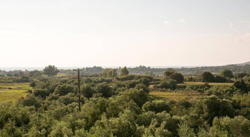 Photo of Others in Kounopetra