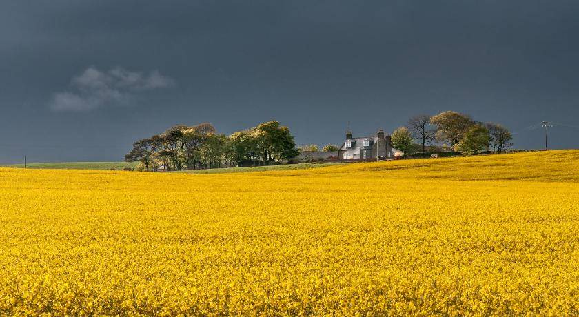 Photo of Others in Stonehaven