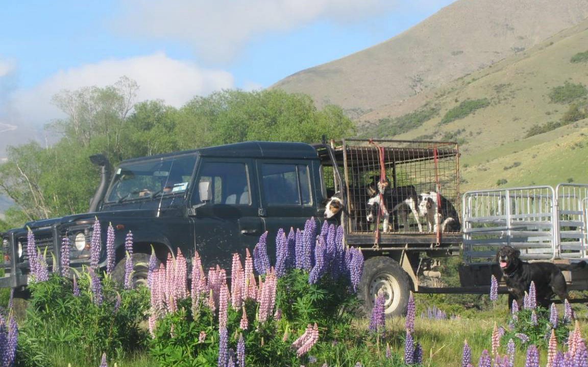 Photo of Outdoor in Omarama