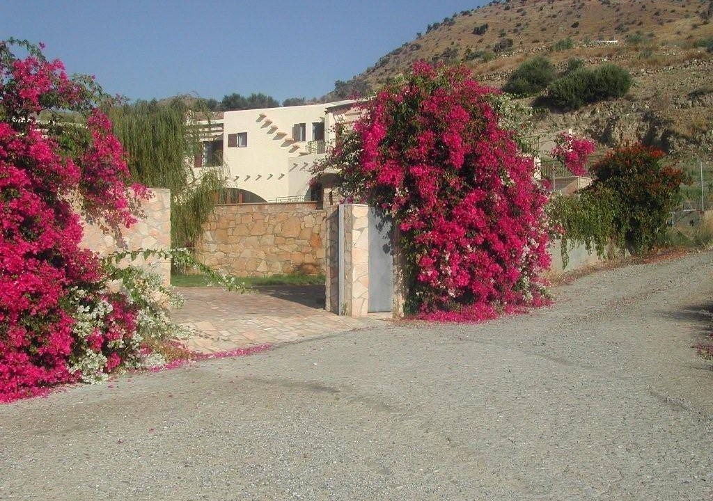 Photo of Others in Agia Galini