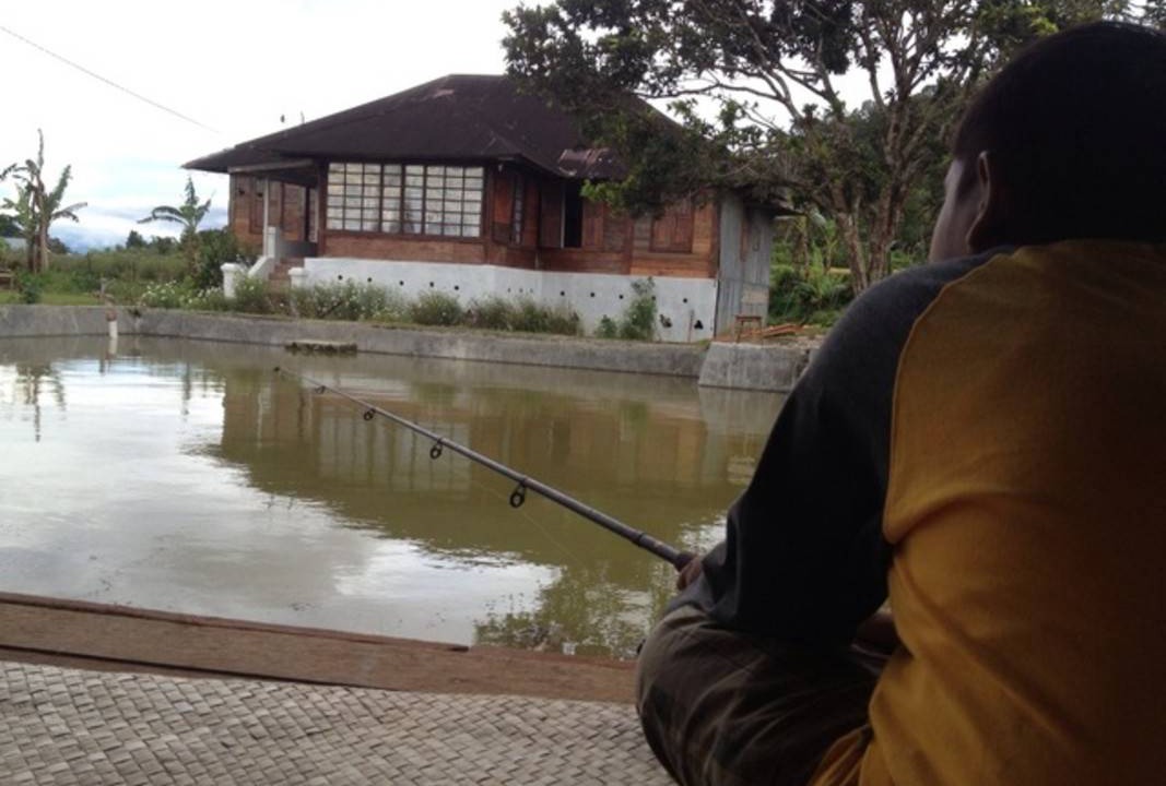 Photo of Others in Bukittinggi