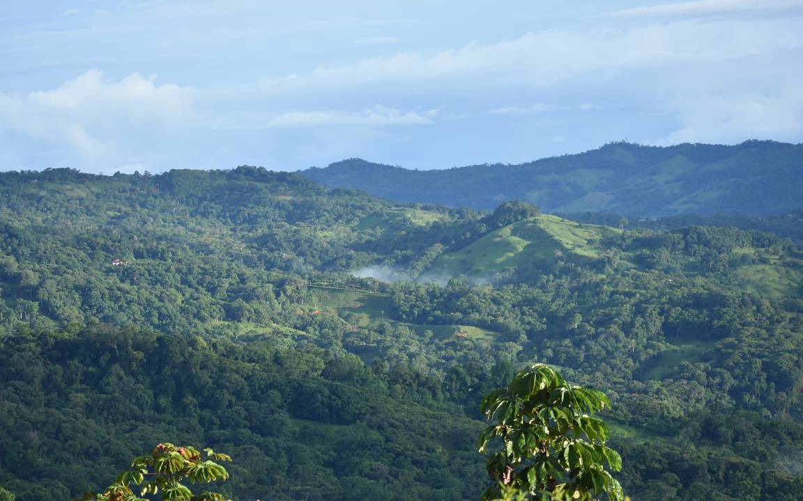 Photo of Others in Baru