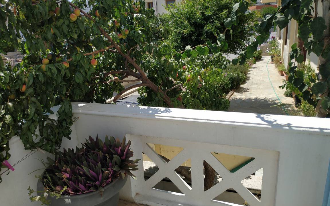 Photo of Others in Agia Pelagia