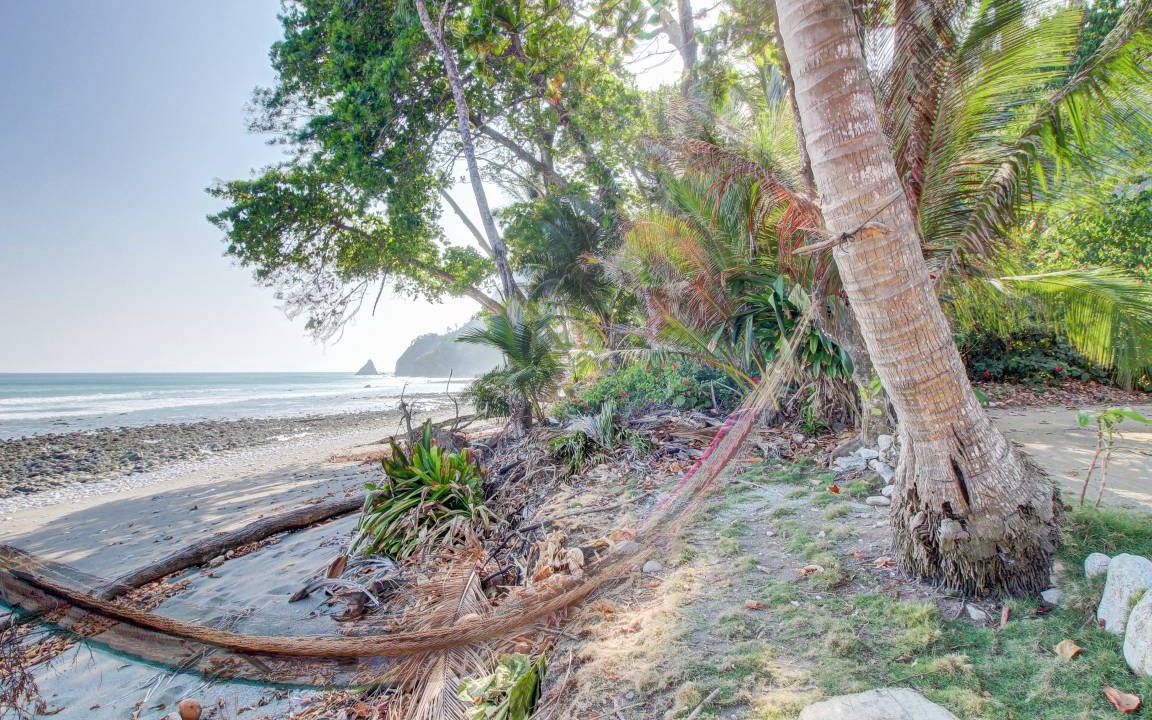 Photo of Others in Cabo Matapalo