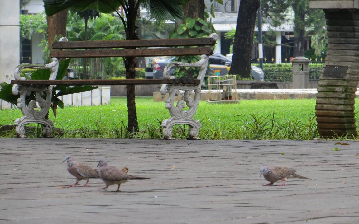 Photo of Others in Bendungan Hilir
